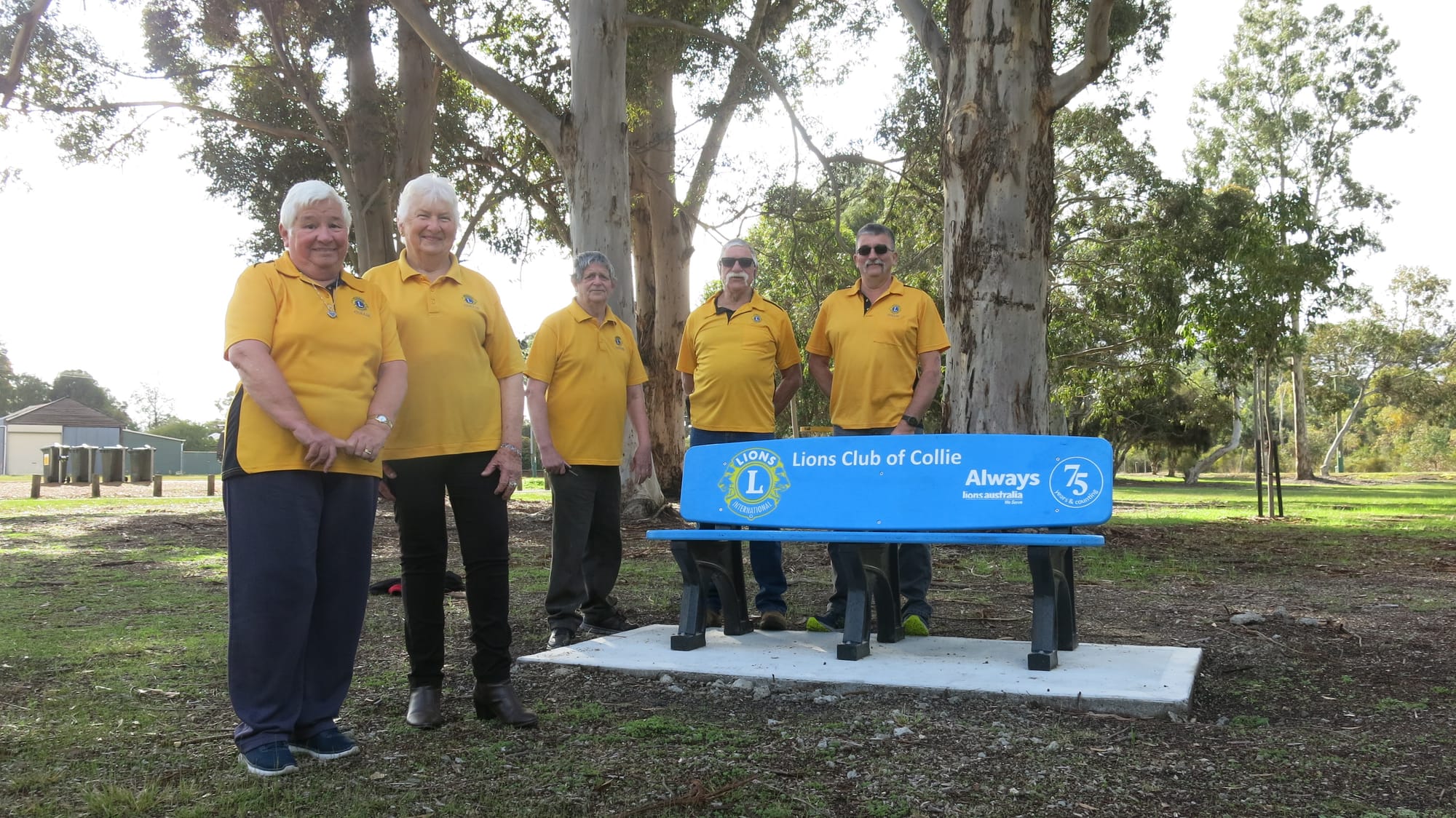 Bold new park benches