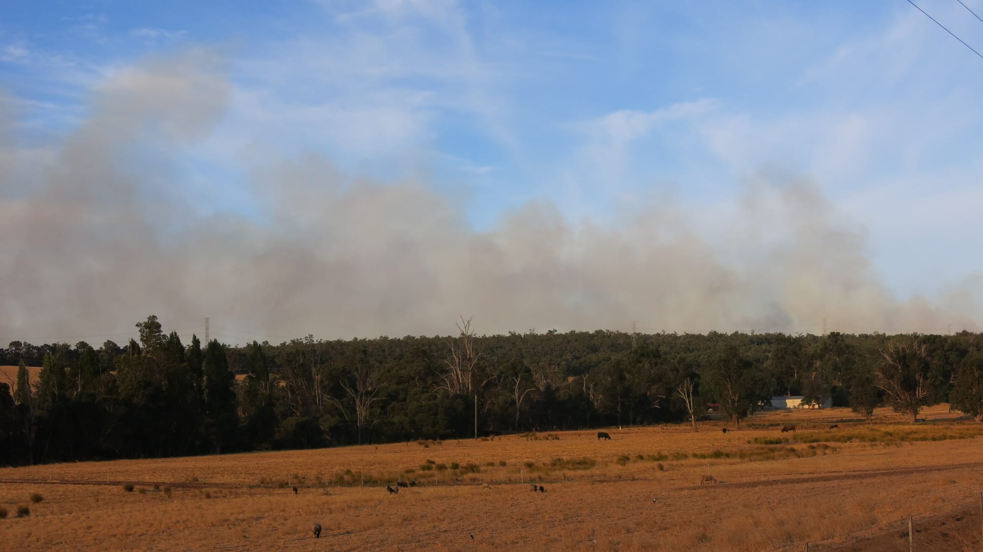 Collie Hills evacuated during bushfire