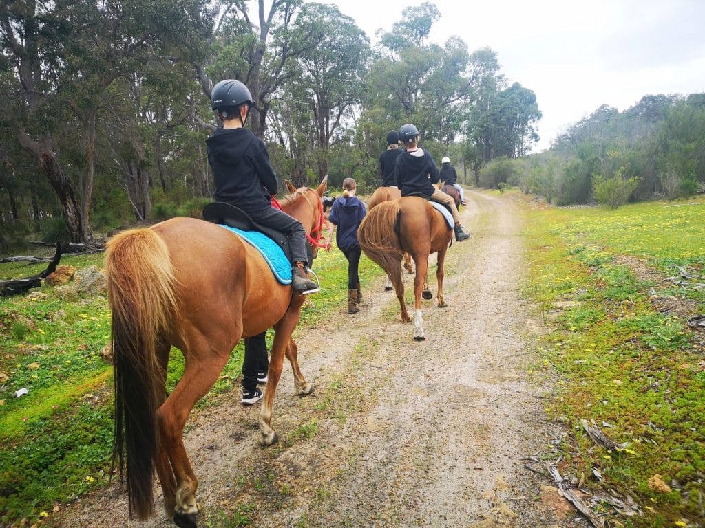 Horse school given go ahead