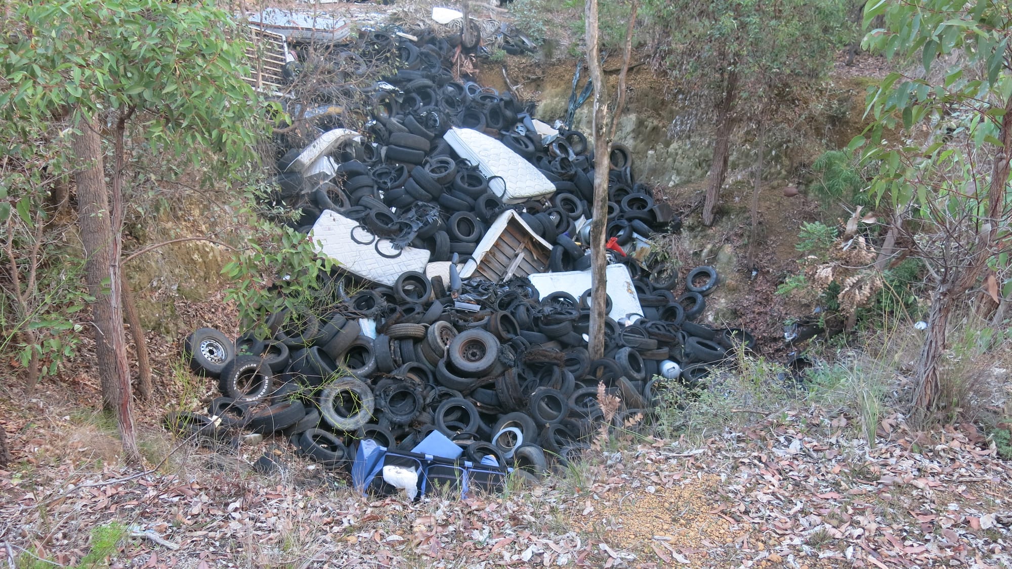 'Environmental timebomb'
