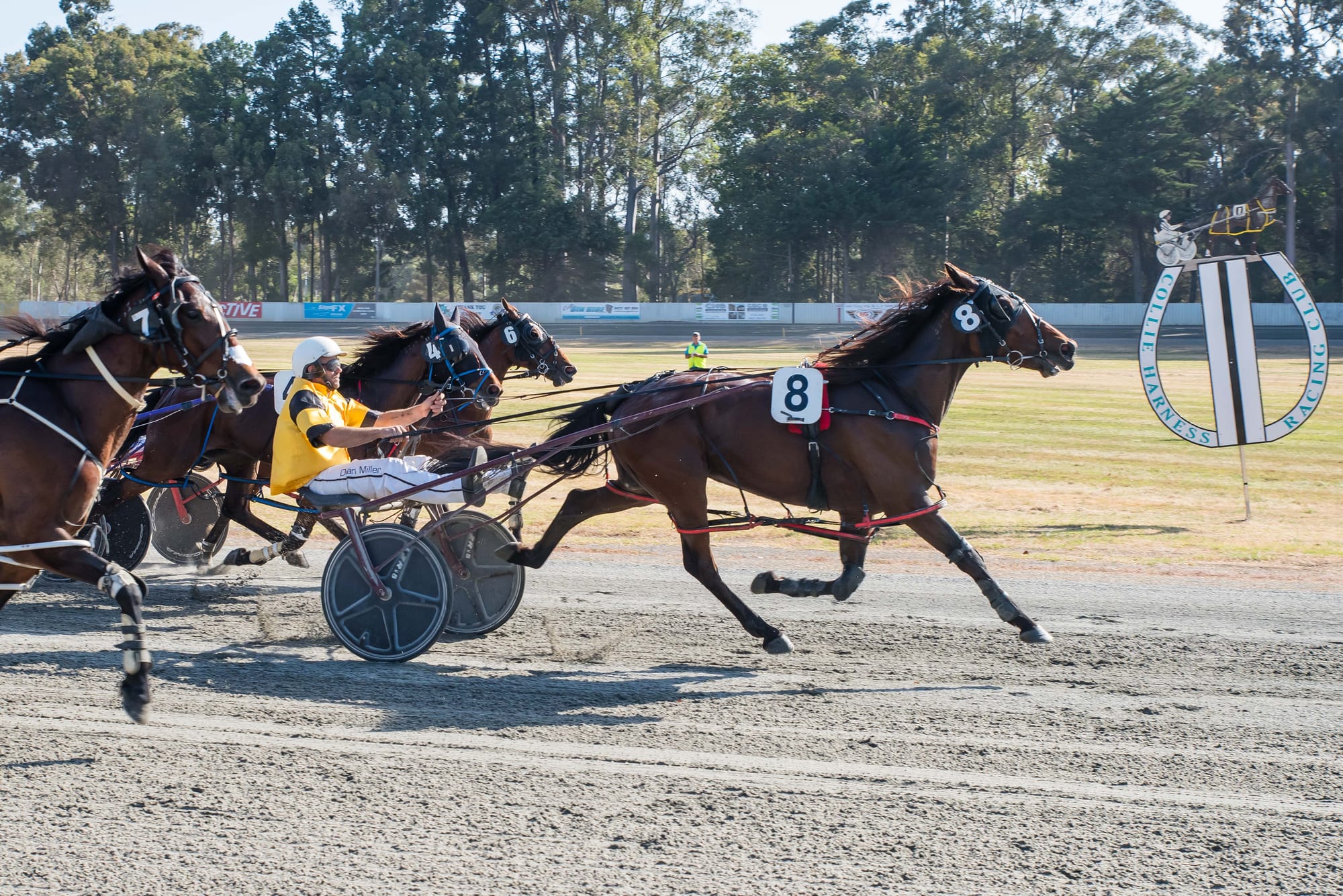 Success for local trainers