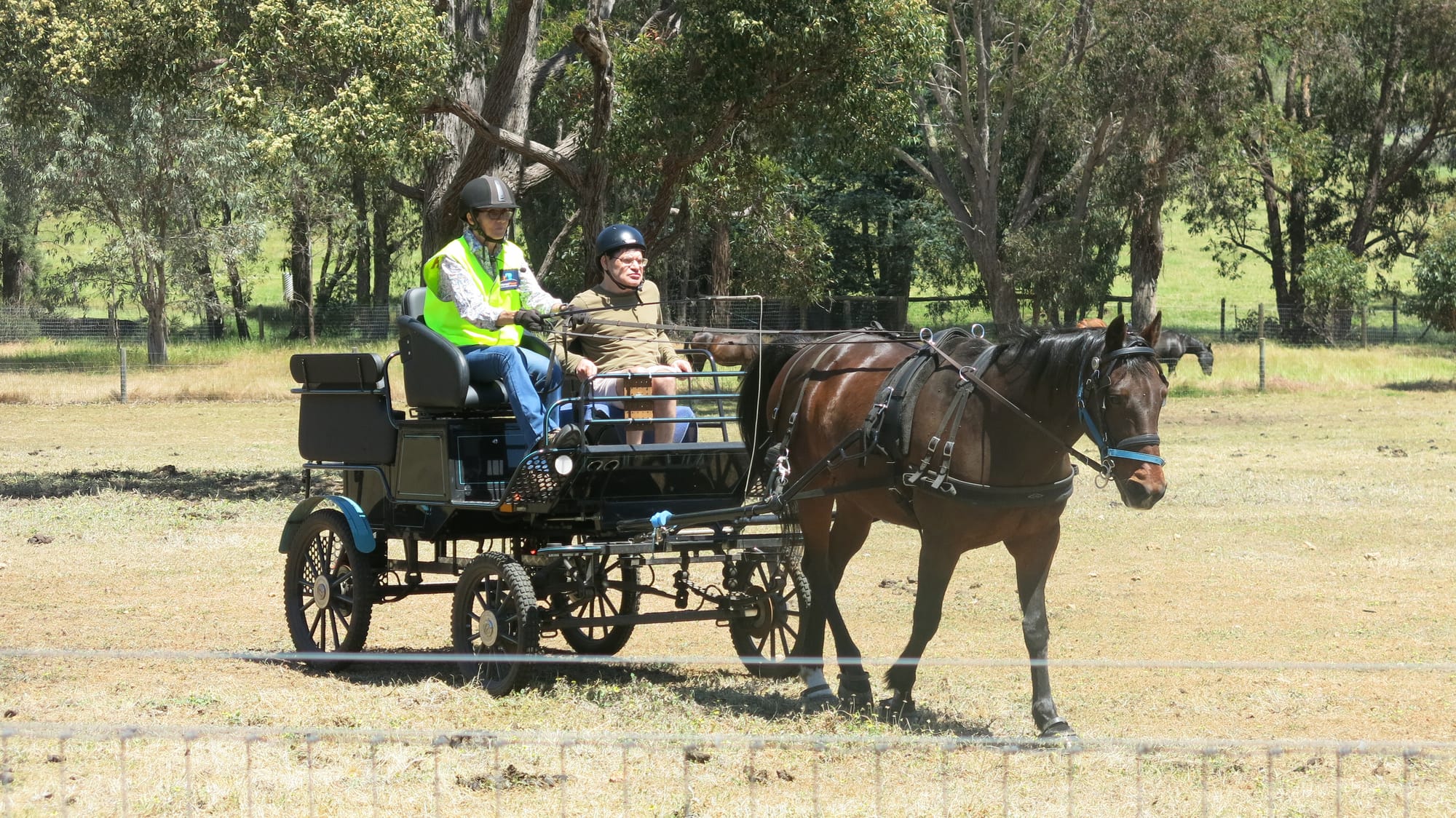 Carriage orientation educates