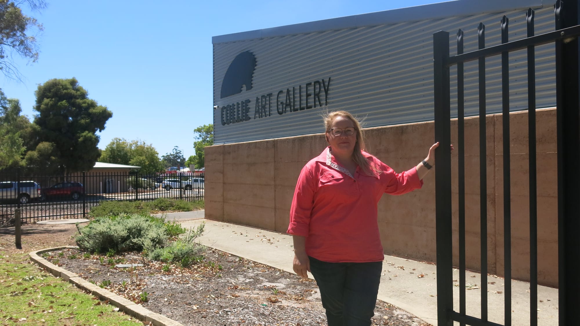 A busy Collie Creates awaits