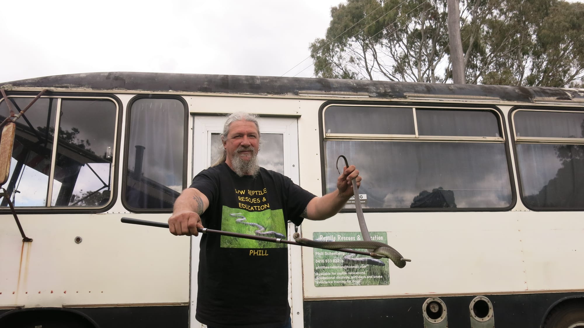 Snakes active as weather warms up