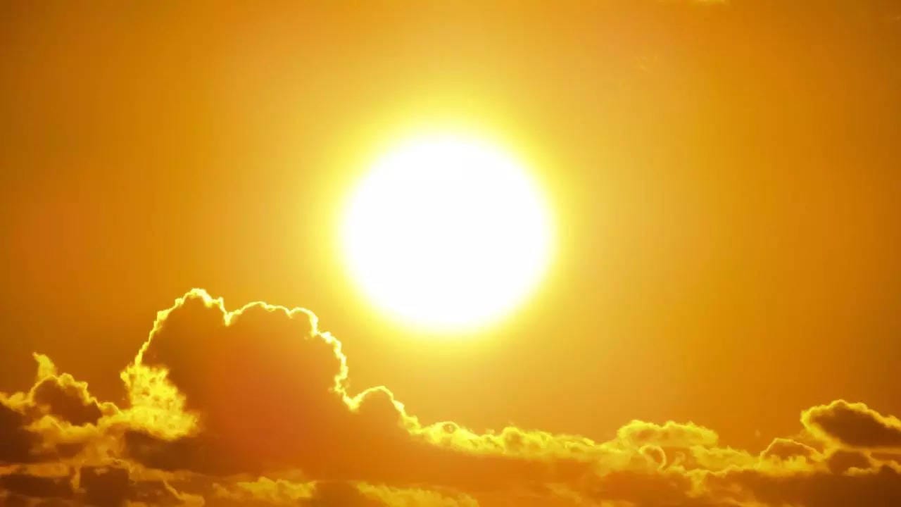 Collie swelters through hot end to summer