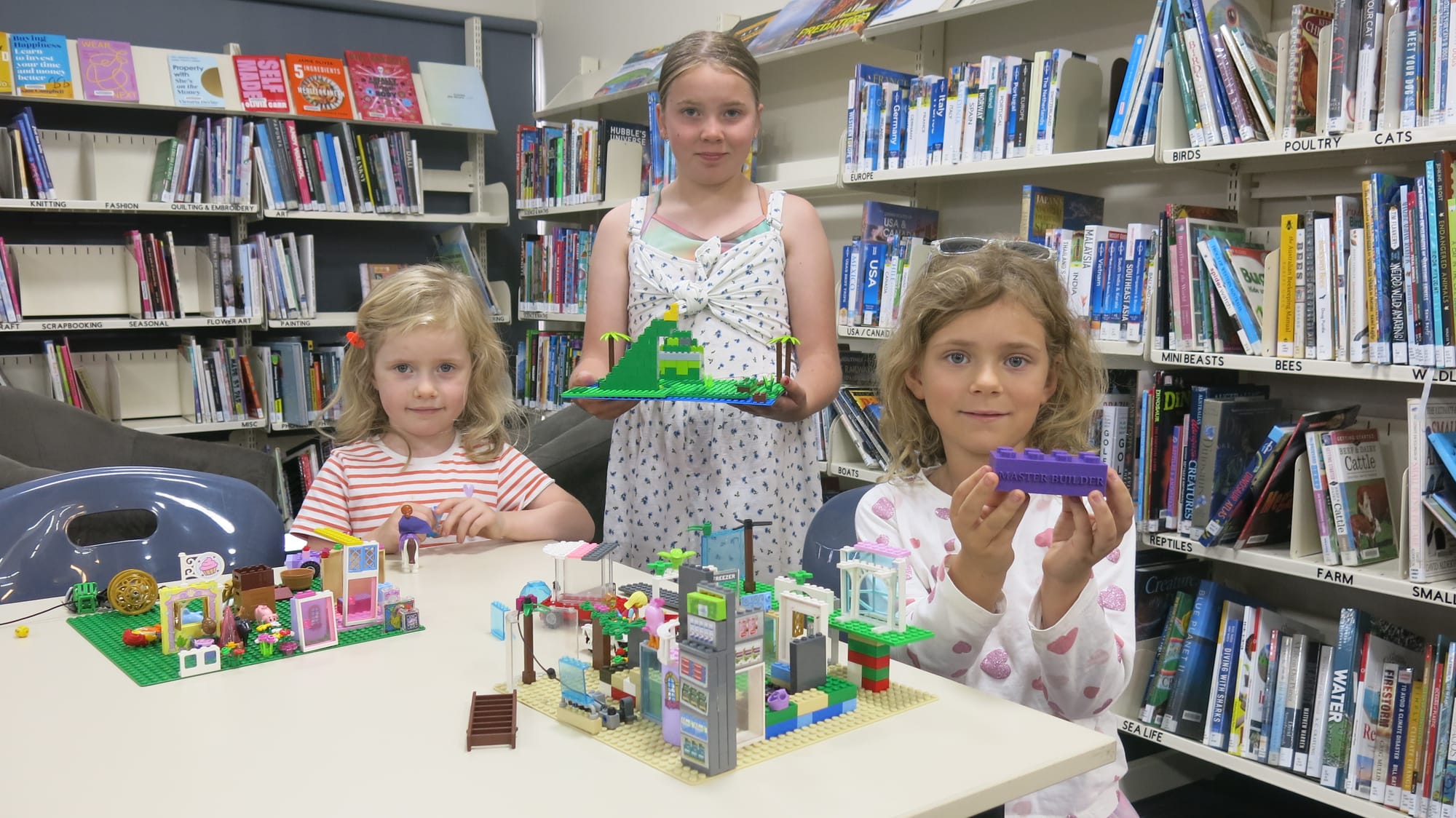 Lego creativity at the library