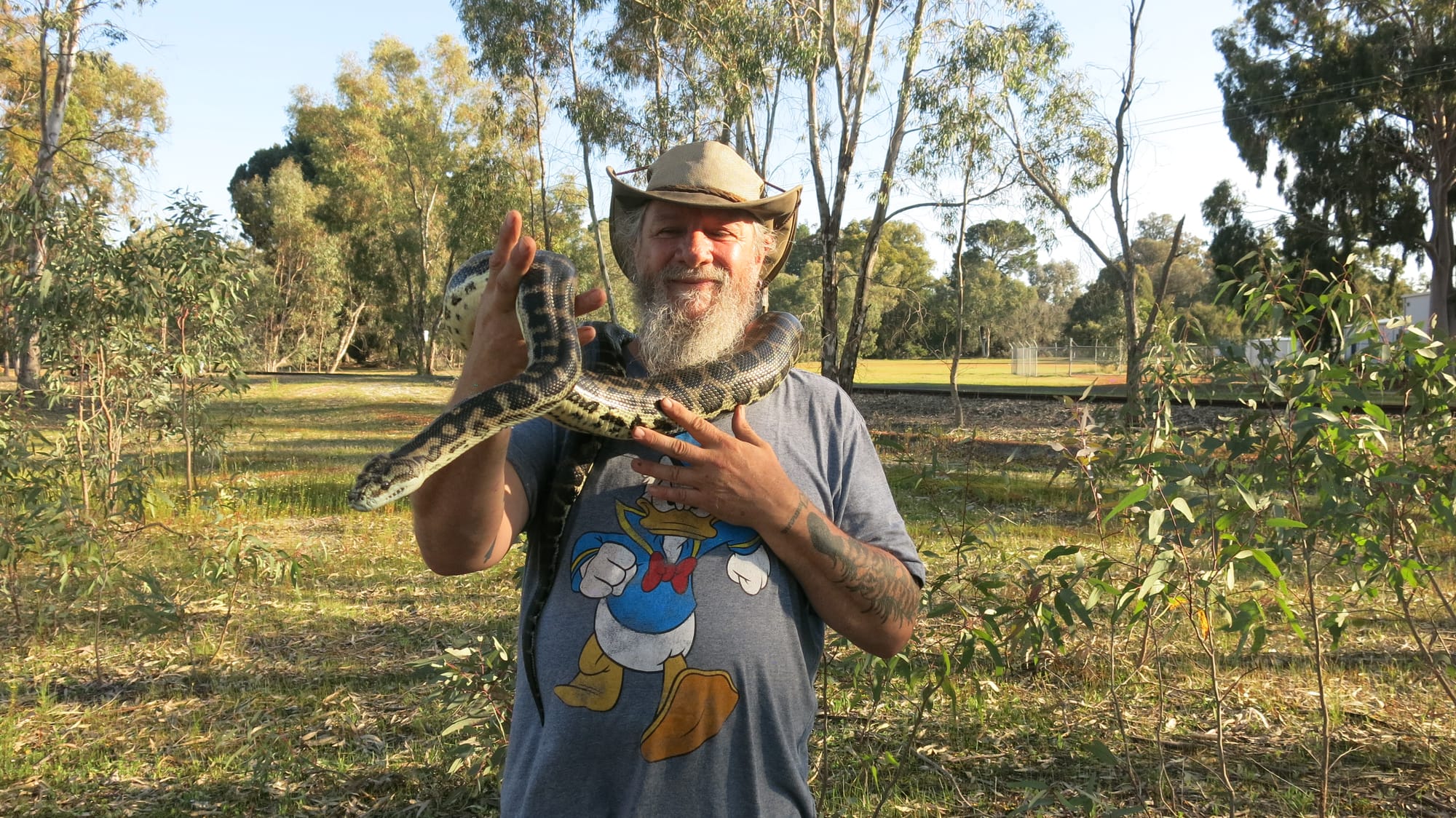 Stay calm and steer clear of snakes