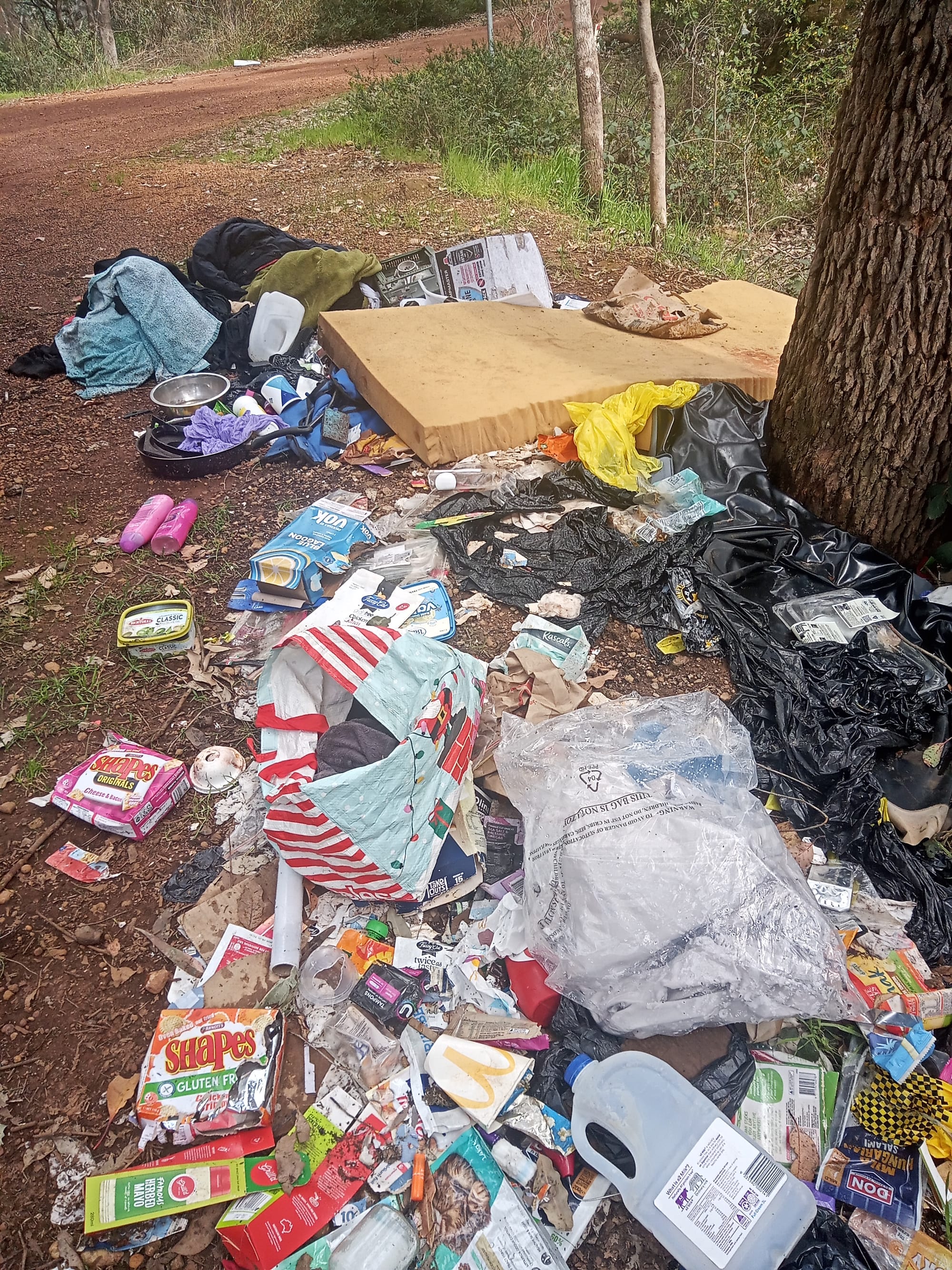 Bins gone, trash remains