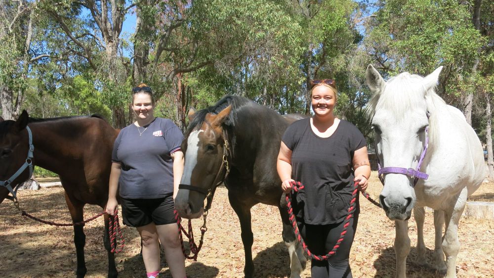 Volunteers learn new skills post image