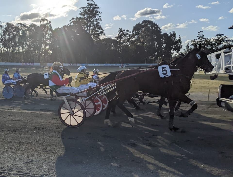 Trots season 2023 safe but cuts proposed post image