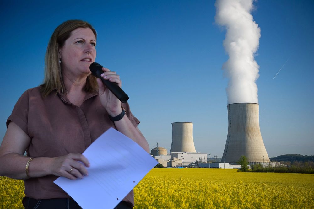 MLA slams Libs’ nuclear view post image
