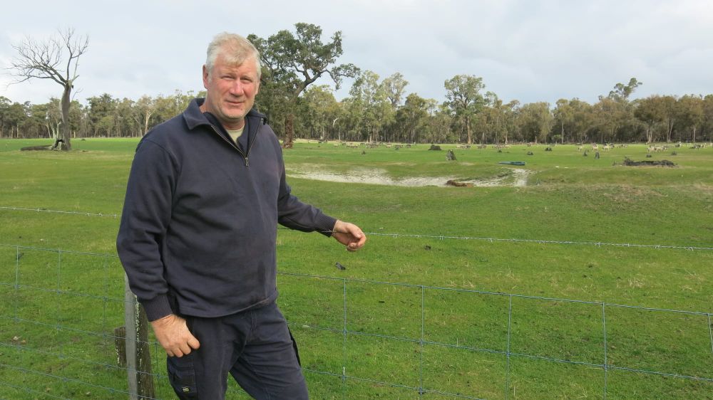 Government live sheep export ban flawed, says Collie farmer post image