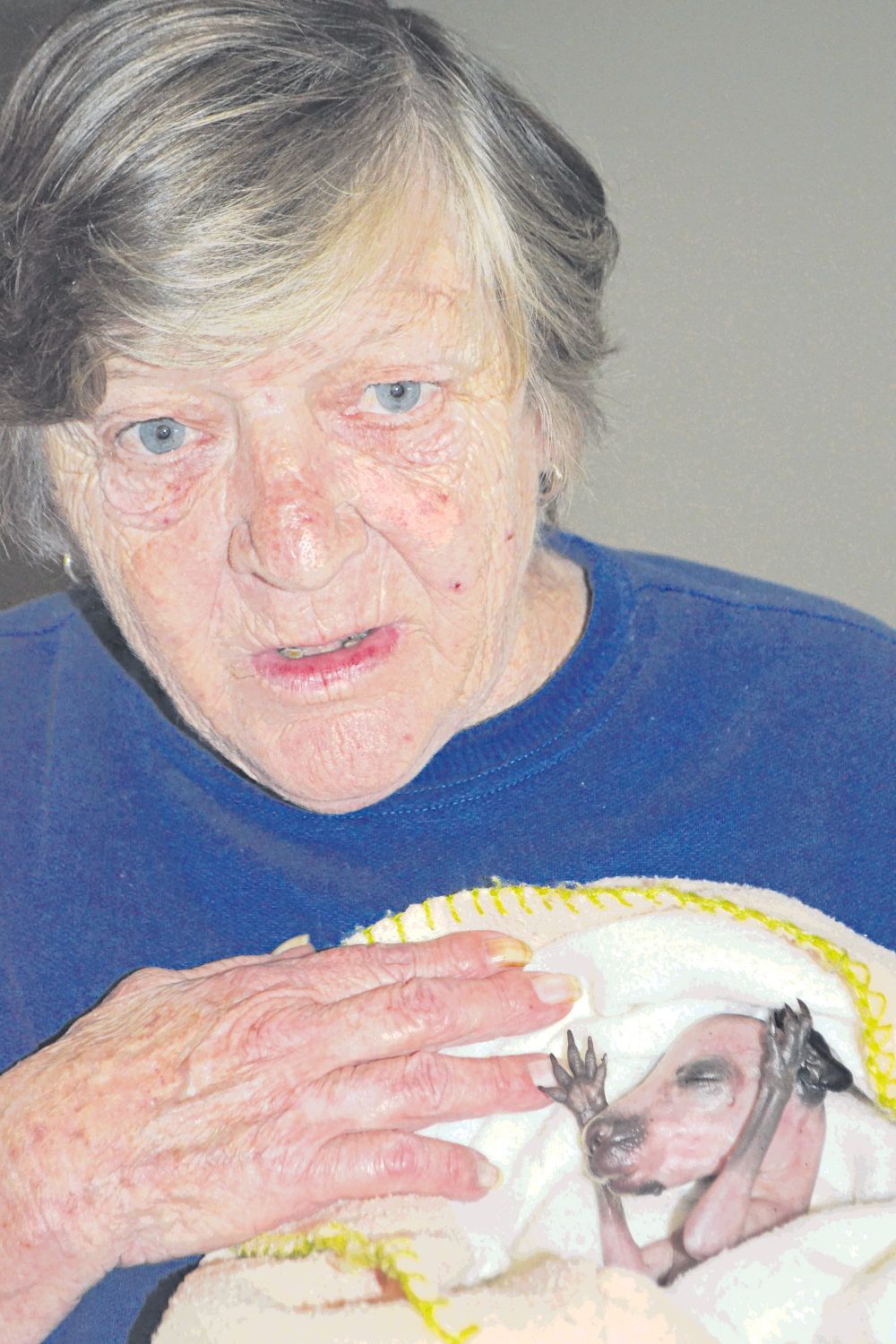 Wildlife will miss Wendy post image