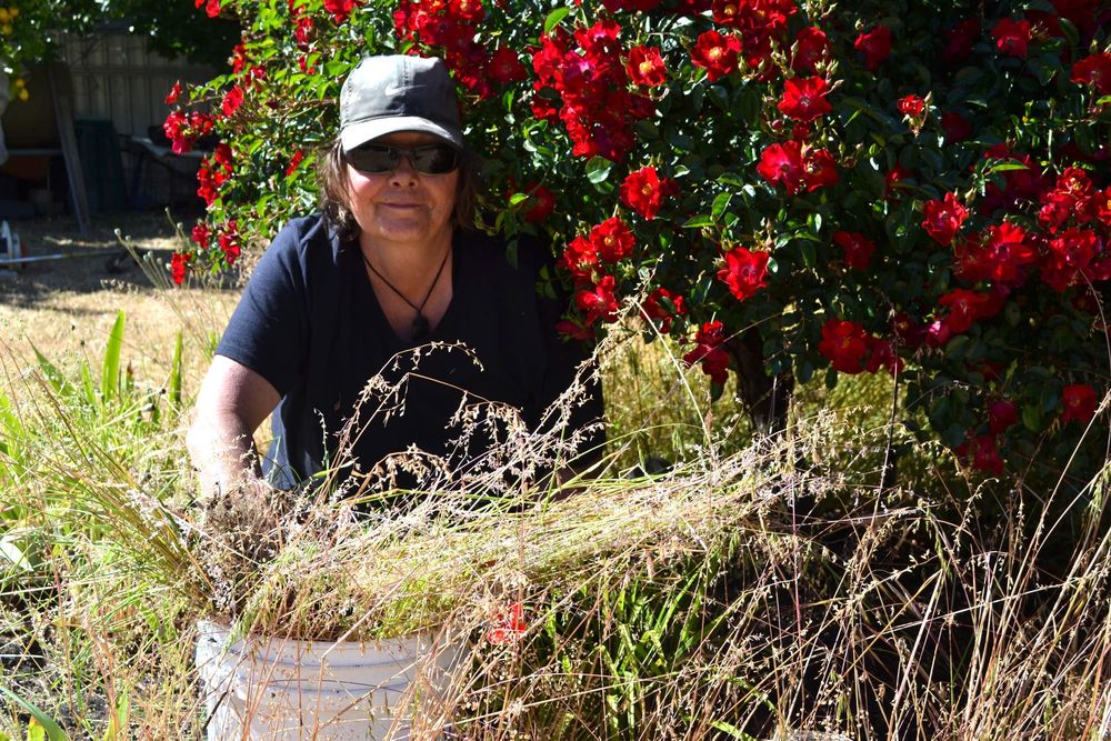A woman who weeds post image