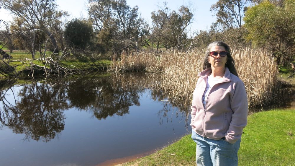 Collie objects: But green light given for battery and solar farm post image