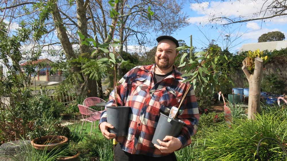 Get in quick for Treebate post image