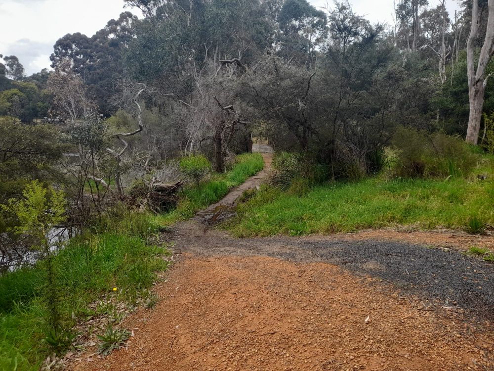 Jack Mears spring to get upgrade post image