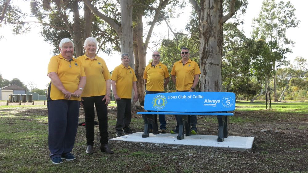 Bold new park benches post image