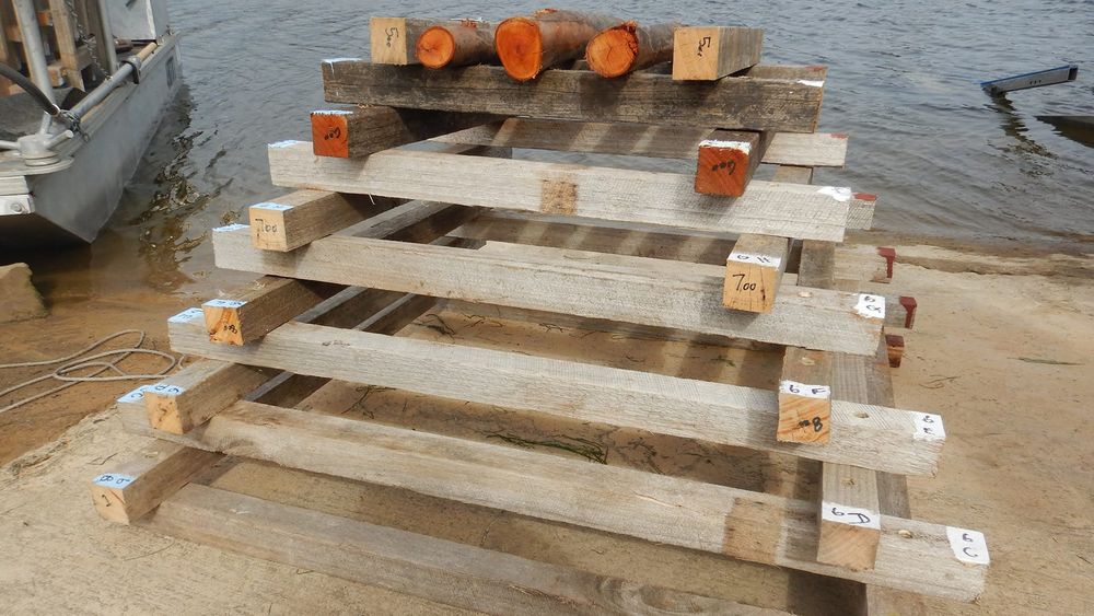 Fish hotels are futile post image
