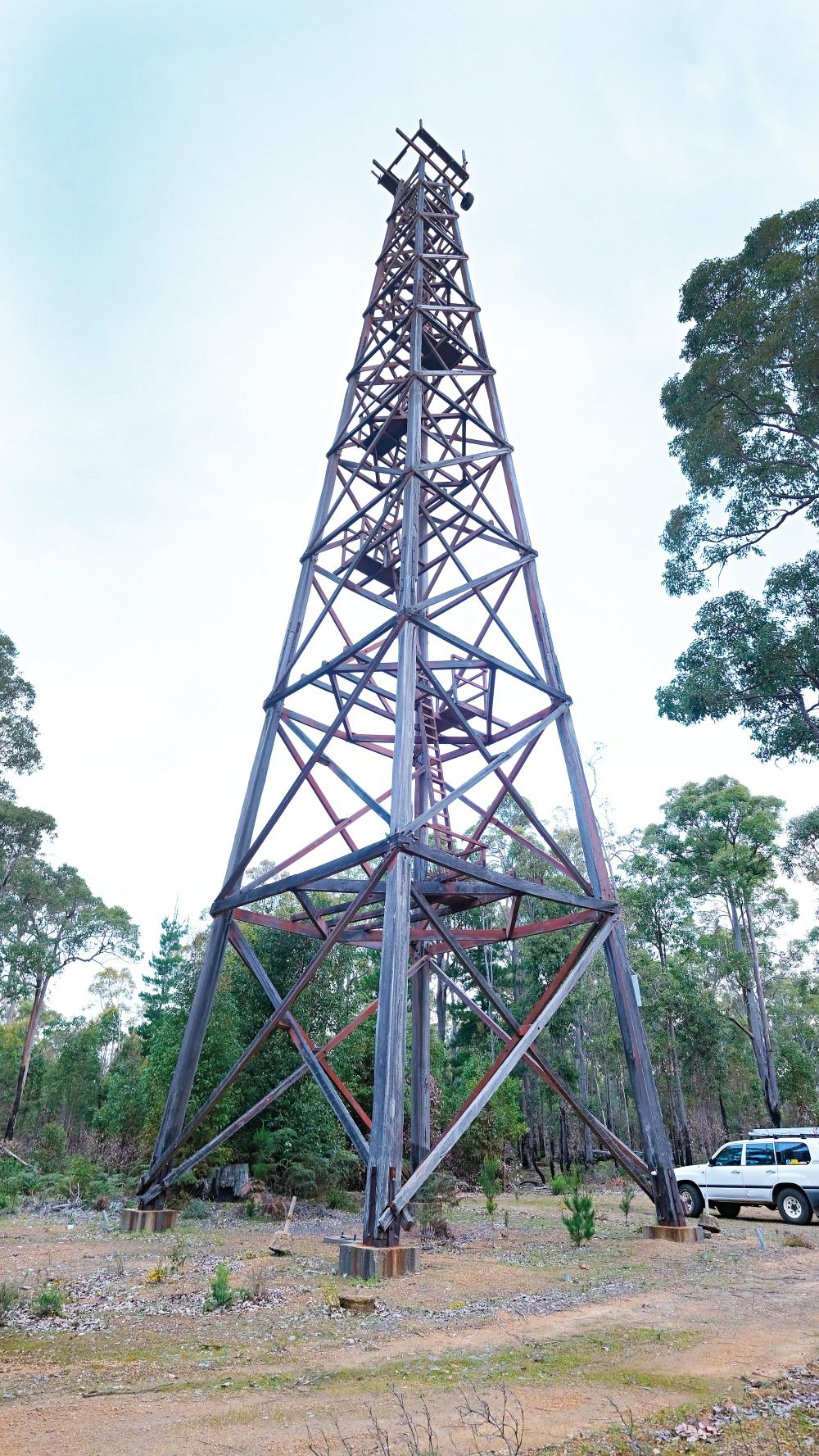 Firetower project at crossroads post image