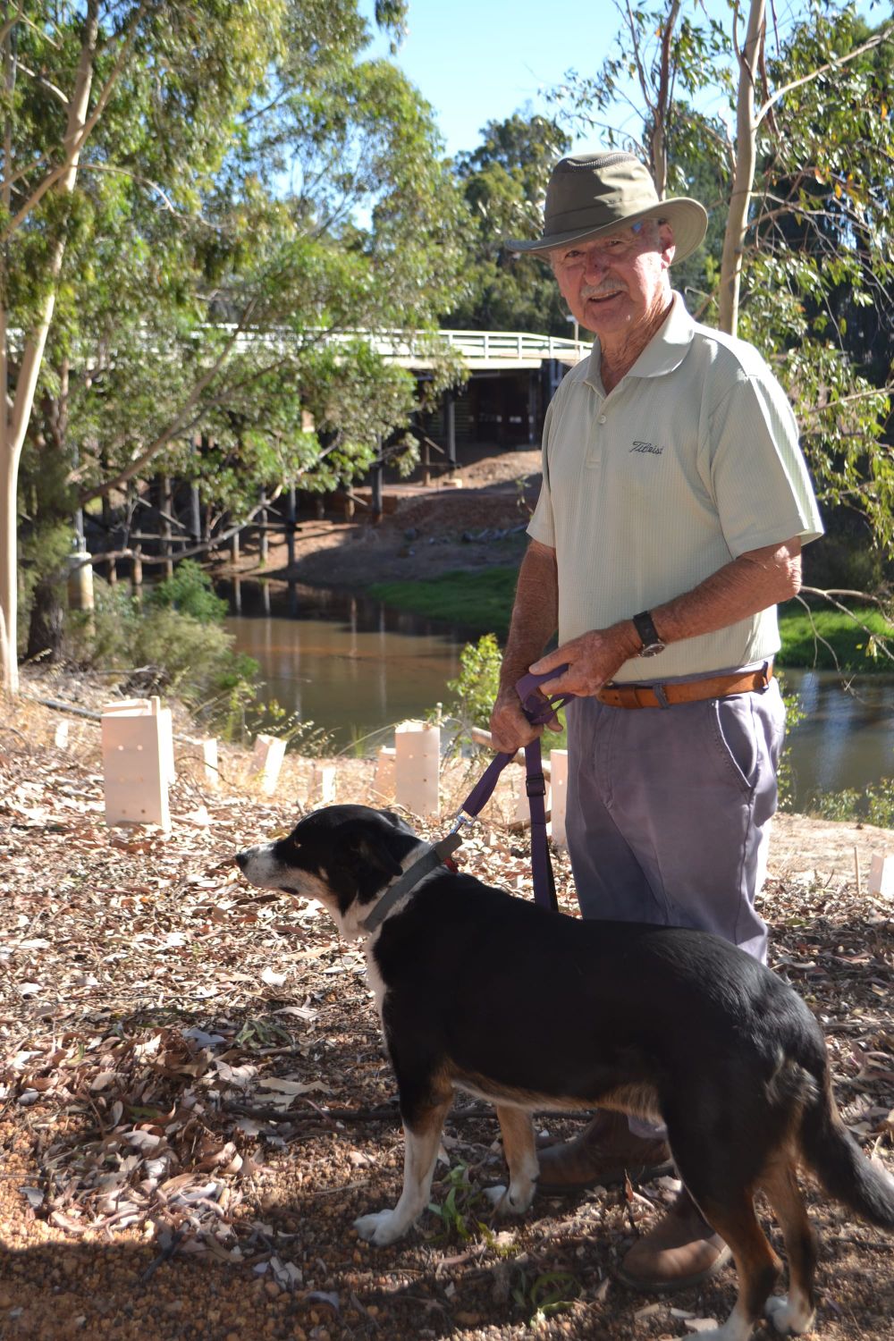 The journey of Ed post image