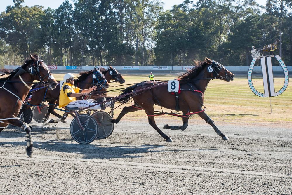 Success for local trainers post image