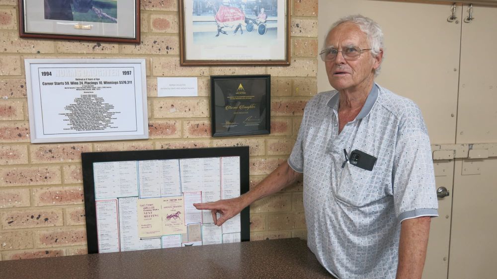 Collie aiming for four trots meetings next year post image