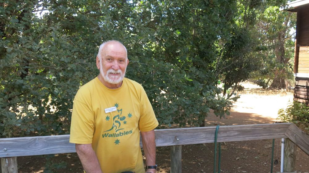 From Normandy to Collie post image