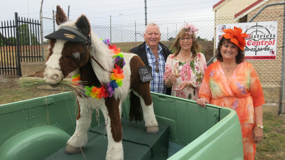 Horsepower for HorsePower post image