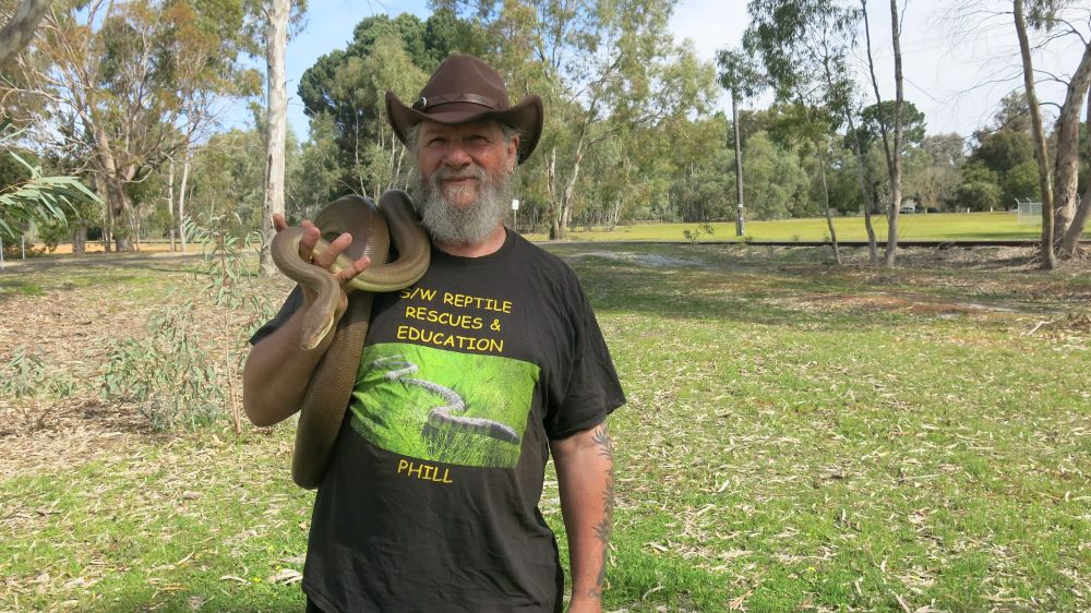 Snakes spotted early in dry conditions post image