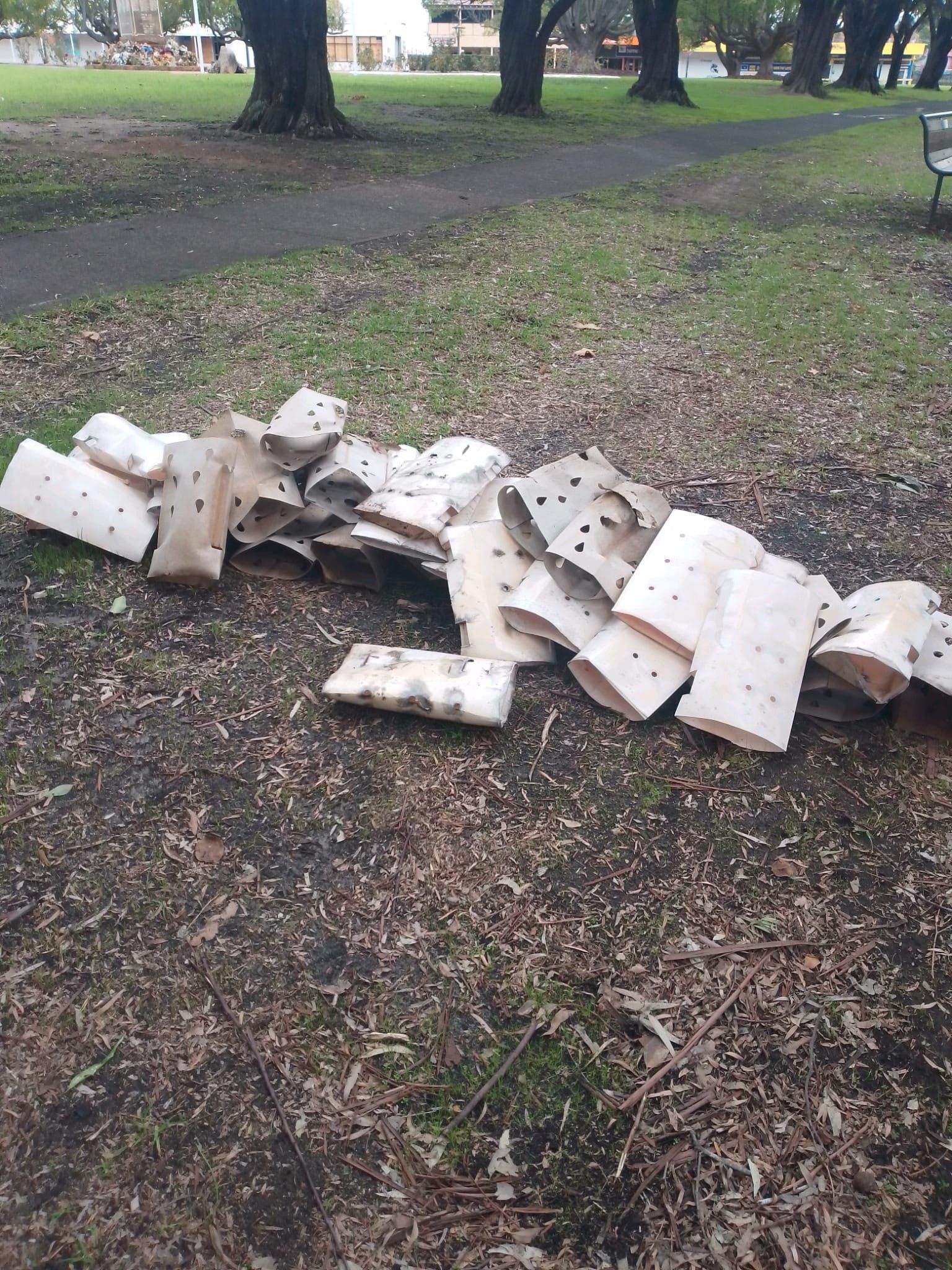 Vandalism puts seedlings at risk post image