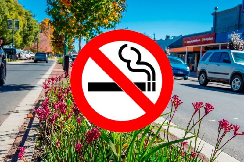 Smoke-free CBD one step closer to reality post image