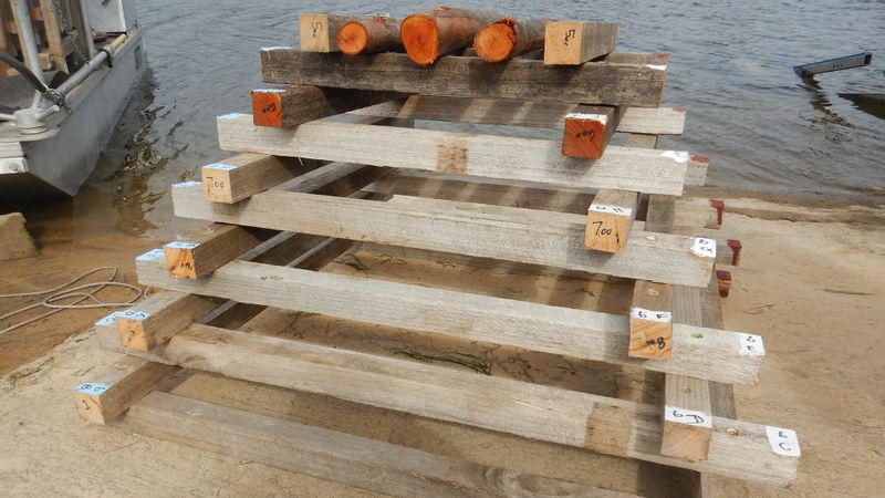 Fish hotels are futile post image