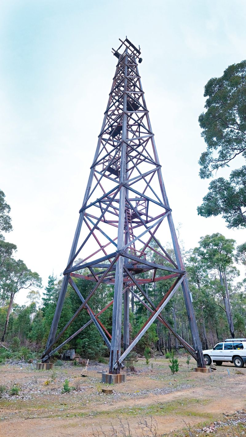 Firetower project at crossroads post image