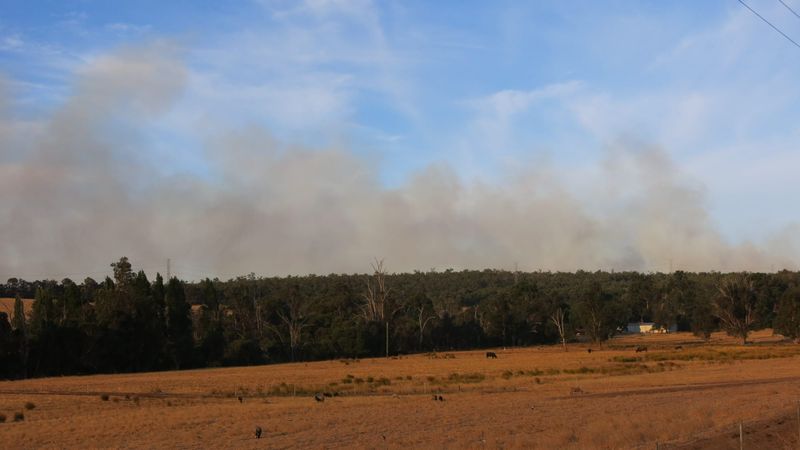 Palmer fire suspicious post image