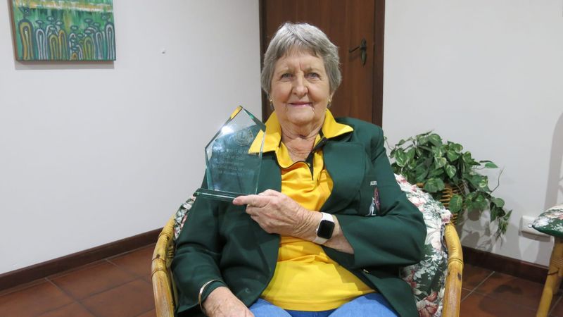 Lyn's lion-sized Collie pride post image