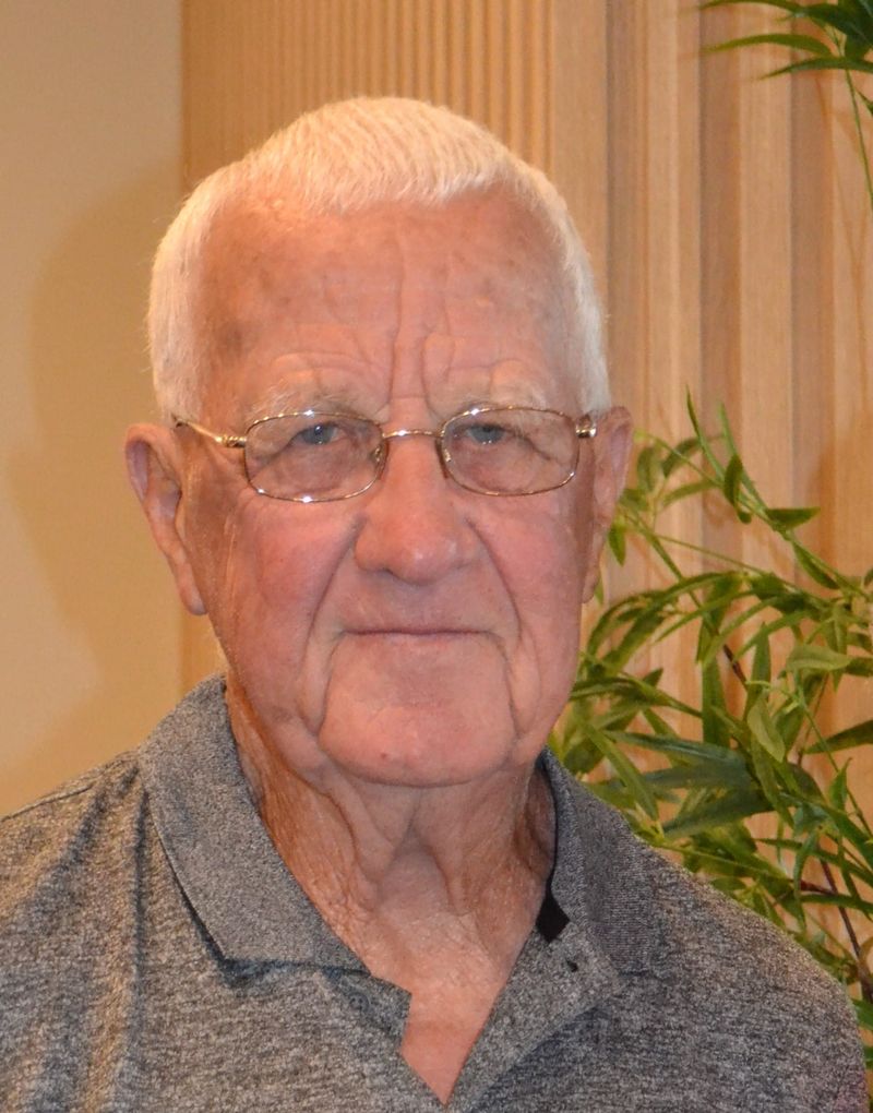 Collie became Geoff's forever home post image