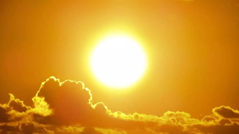 Collie swelters through hot end to summer post image