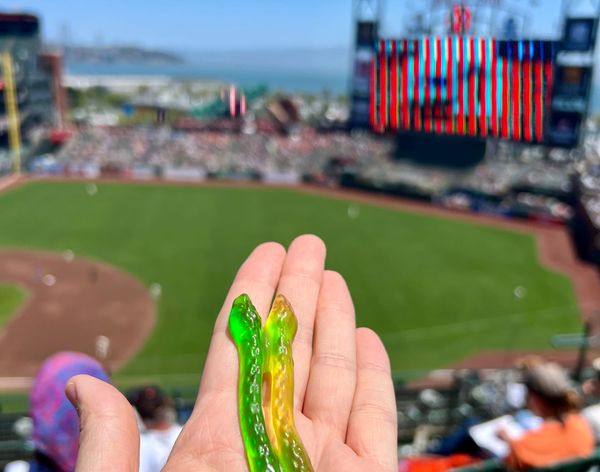 A two-headed gummy snake is perched on an outstretched hand, with a blurry grass ballfield in the distance.