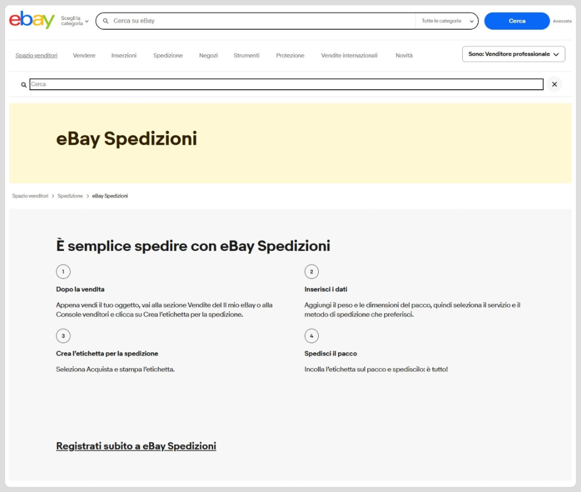ebay spedizioni come funziona - ebay spedizioni conviene - ebay spedizioni problemi 