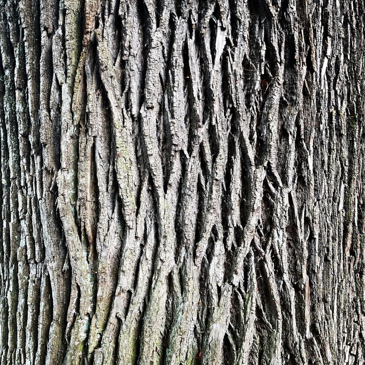 Ent-Gewohngemeinschaft