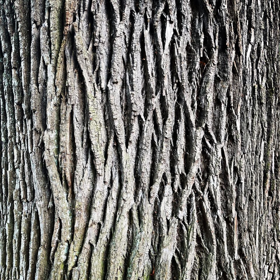 Ent-Gewohngemeinschaft