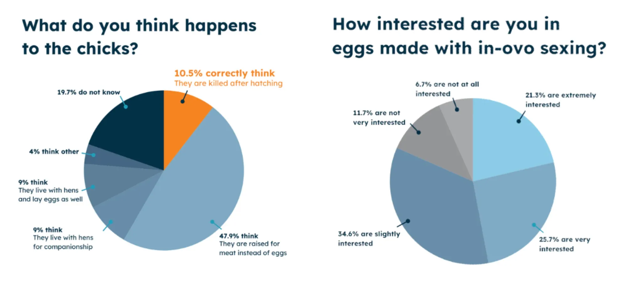 Two pie charts showing consumer survey results. The first asks what happens to male chicks in the egg industry — only 10.5% correctly answered they are killed after hatching, while 47.9% assumed they are raised for meat. The second shows consumer interest in in-ovo sexing eggs — 21.3% are extremely interested, 25.7% very interested, and 34.6% slightly interested.