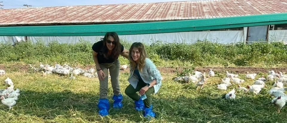 There's Something About Mary's