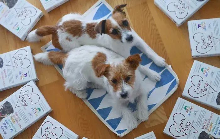 How to Compare Human-Grade Pet Foods