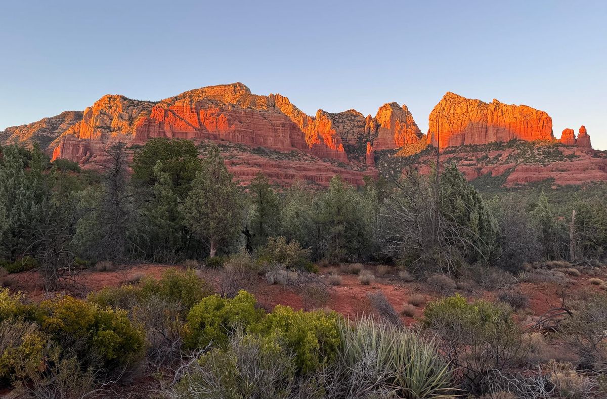 Red cliffs look orange in the setting sun. A desert landscape with junipers, pines, and cacti is in the foreground.
