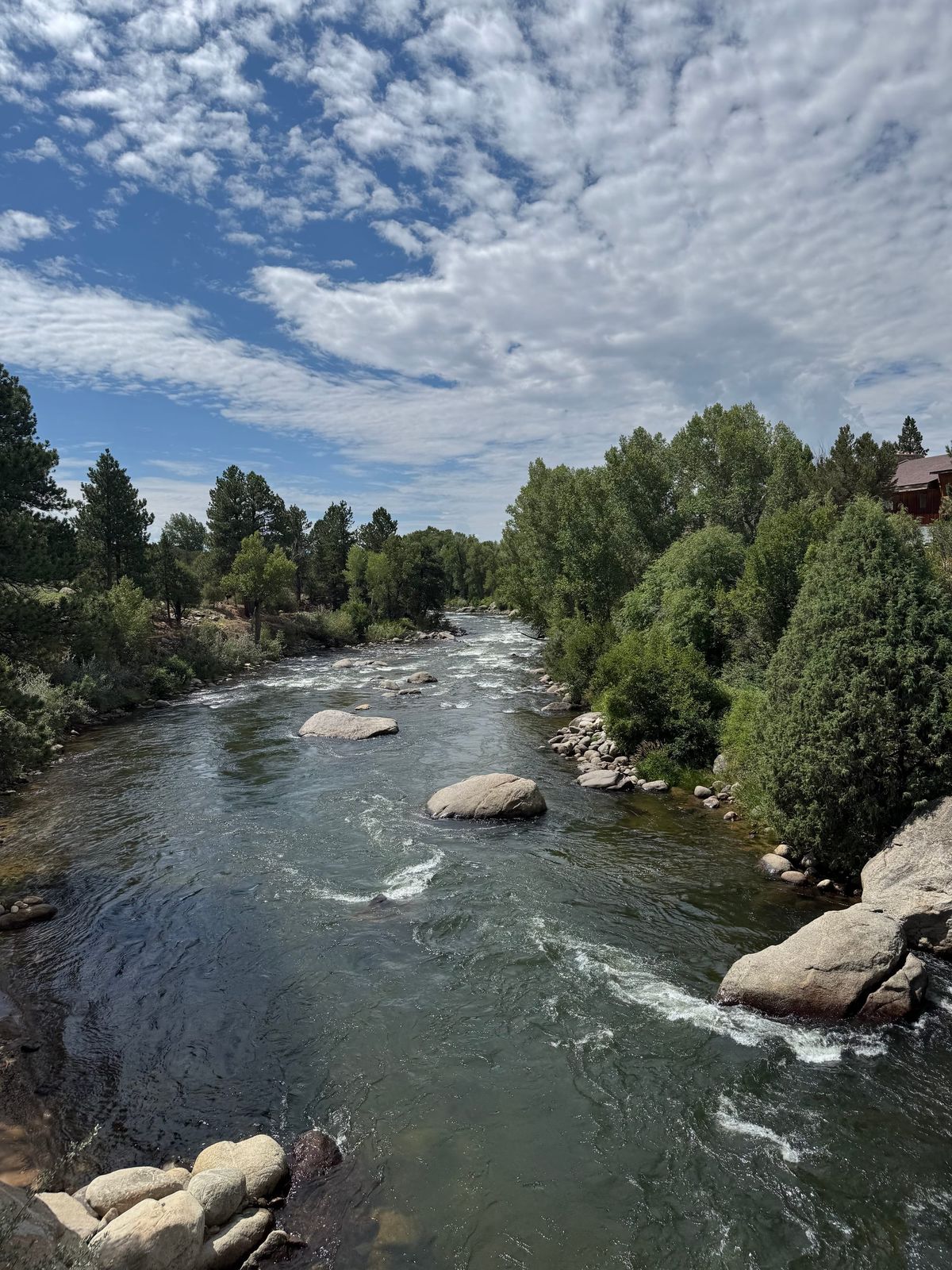 Buena Vista’s Arkansas River with visible current, forest, rocks, and a partly cloudy sky.