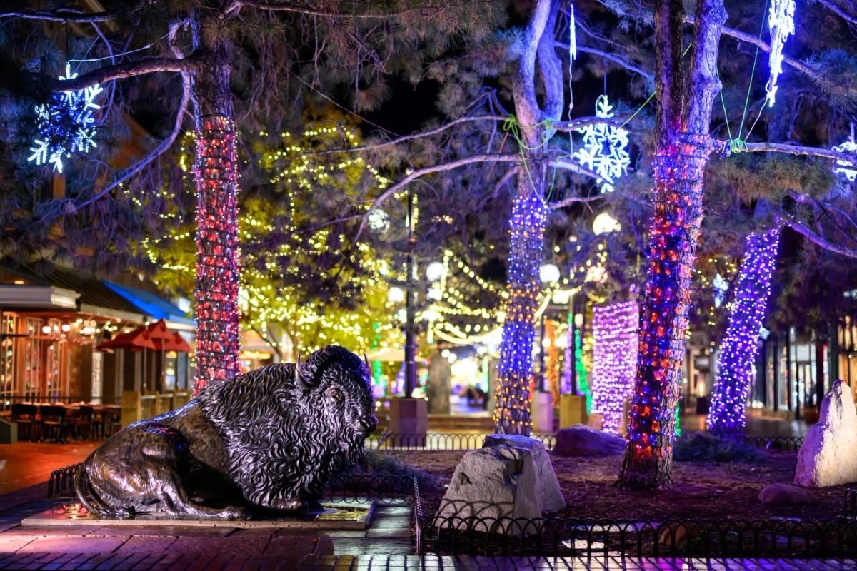 A bronze buffalo statue under colorful holiday lights at night in Downtown Boulder.