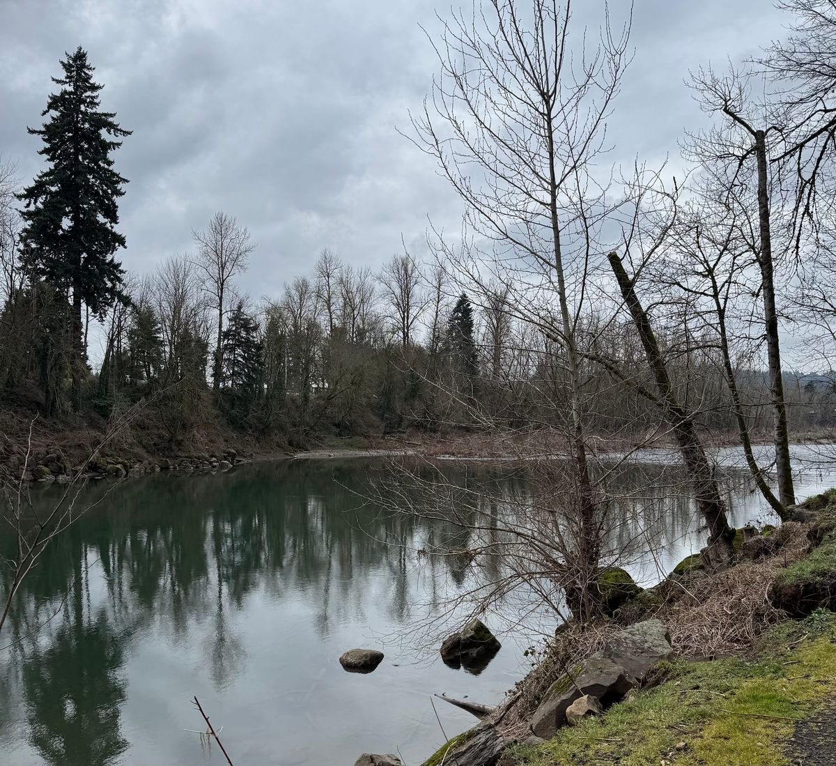 A calm river on an overcast day, with bare trees reflected in the water and a mossy, rocky bank.