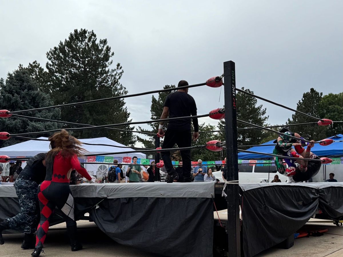 Four wrestlers in colorful costumes try to take each other down on an elevated platform while a referee looks on.